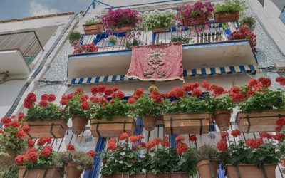 Inscripcions al 61è Concurs de Balcons, Finestres i Façanes
